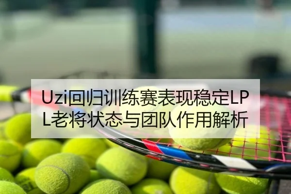 Uzi回归训练赛表现稳定LPL老将状态与团队作用解析